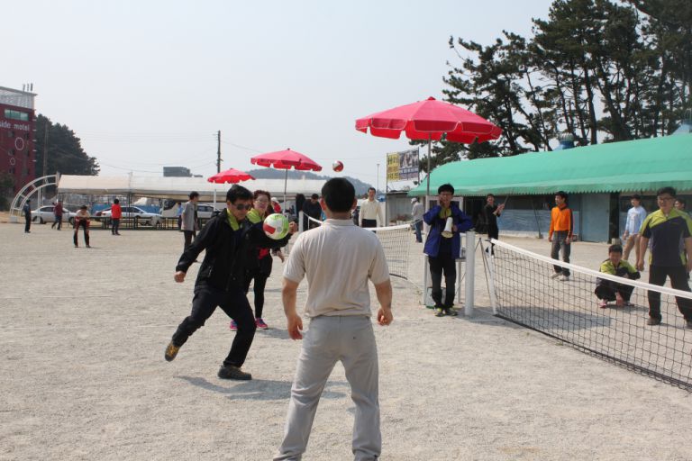 궁평리 야유회