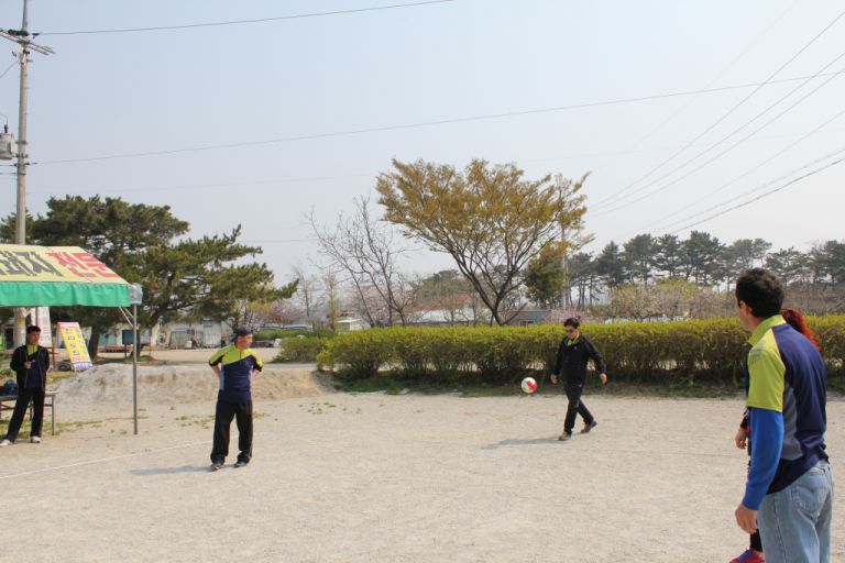 궁평리 야유회